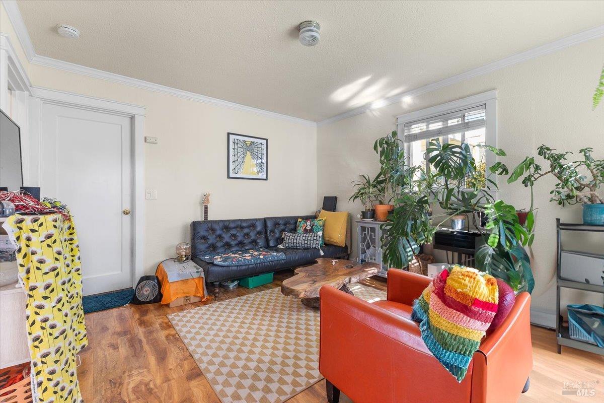 130 11th Street Santa Rosa, CA 95401 - Photo 30 of 50 a living room with furniture and a potted plant