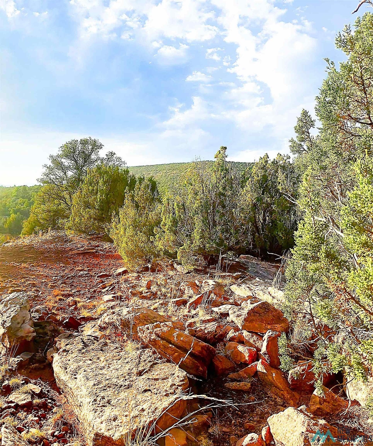 0 West Sena Ranch Road Serafina, NM 87569 - Photo 13 of 26 Gallery Image 13