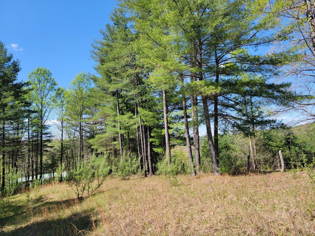Tbd Church Hill Road Independence, VA 24348 - Photo 21 of 21 Gallery Image 21