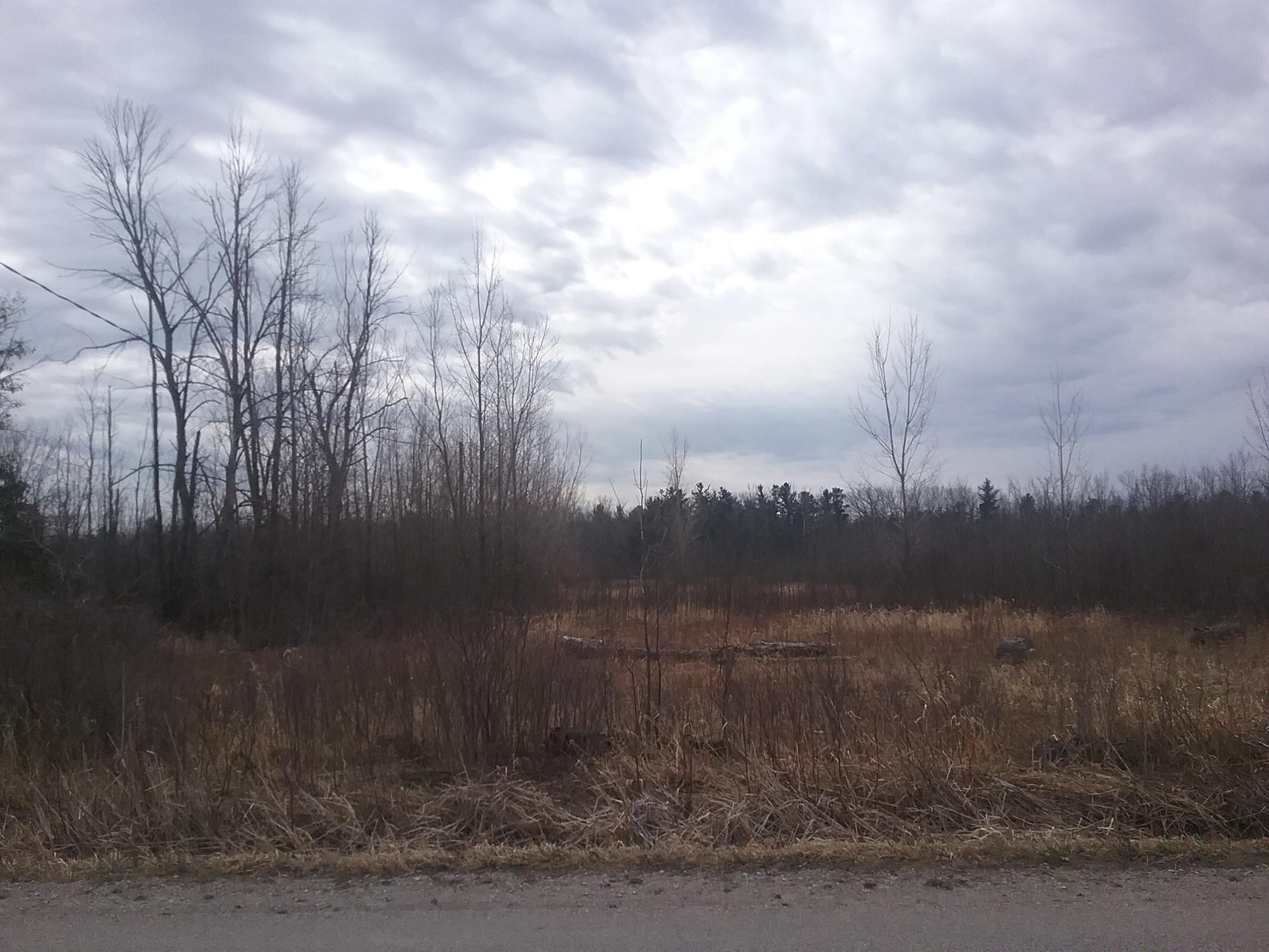 Sagatoo Road Standish, MI 48658 - Photo 5 of 10 Gallery Image 5