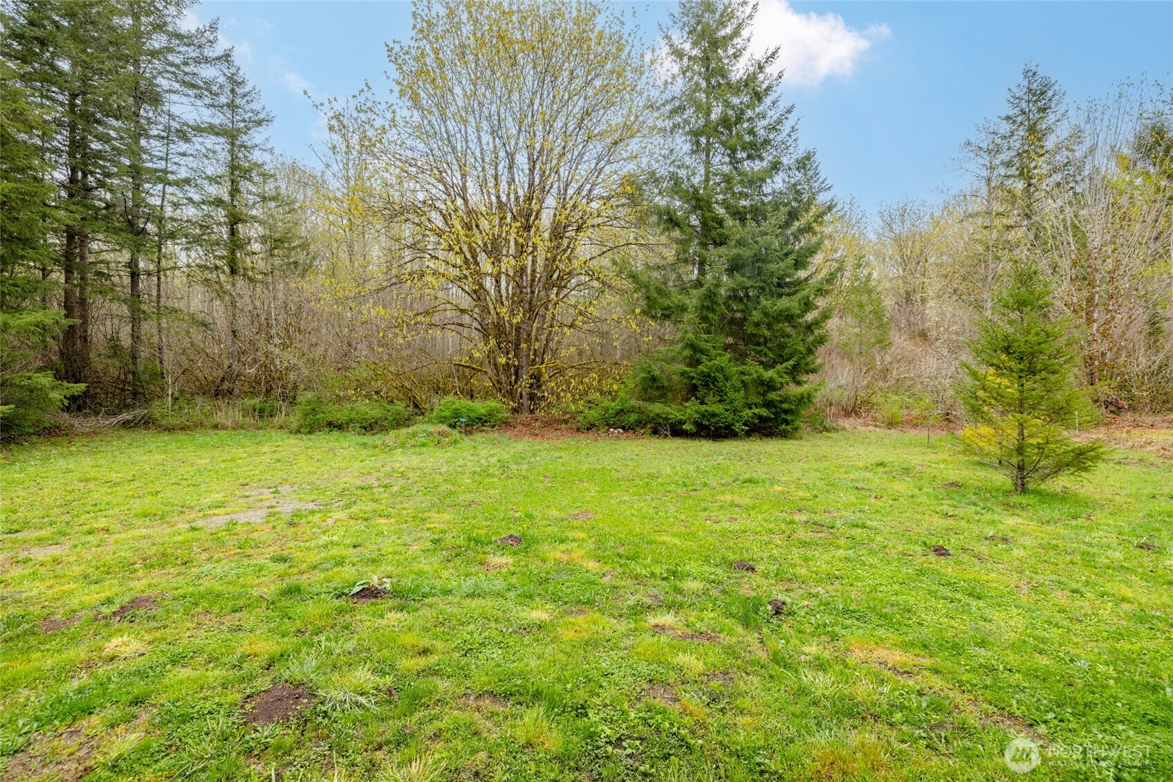 8289 Lekcin Lane Concrete, WA 98237 - Photo 15 of 24