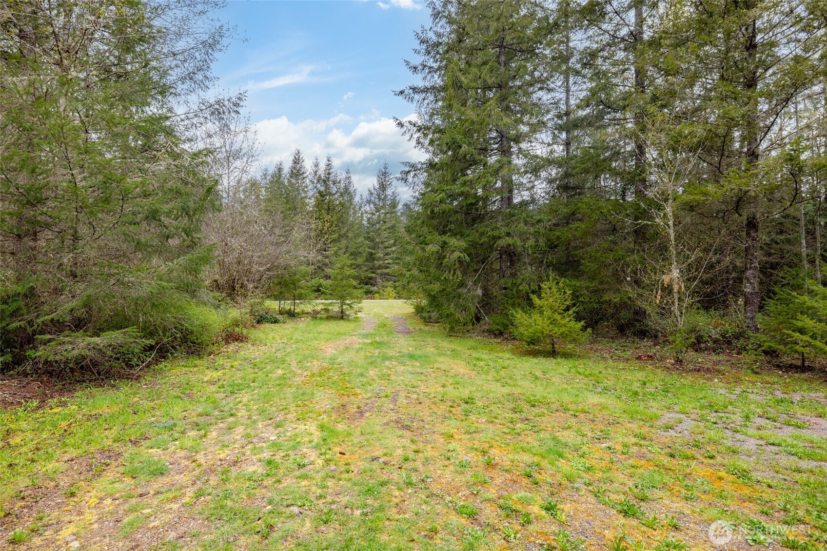8289 Lekcin Lane Concrete, WA 98237 - Photo 17 of 24