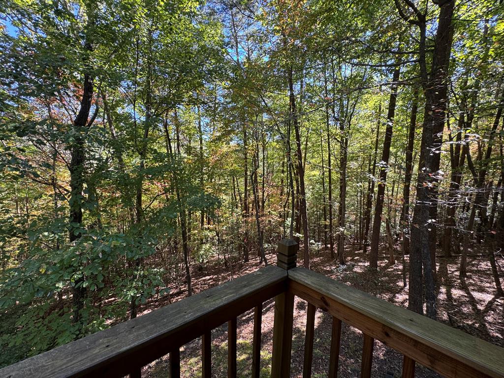 241 Walnut Mountain Road Ellijay, GA 30536 - Photo 19 of 23