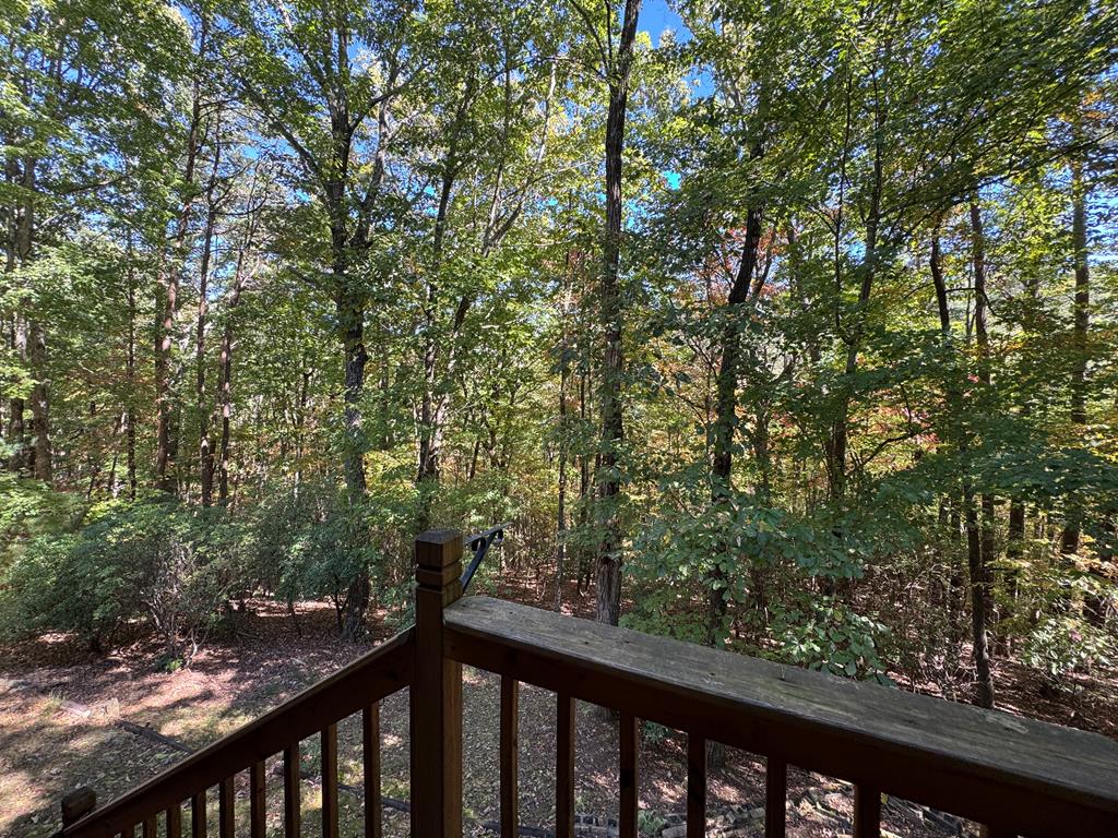 241 Walnut Mountain Road Ellijay, GA 30536 - Photo 20 of 23