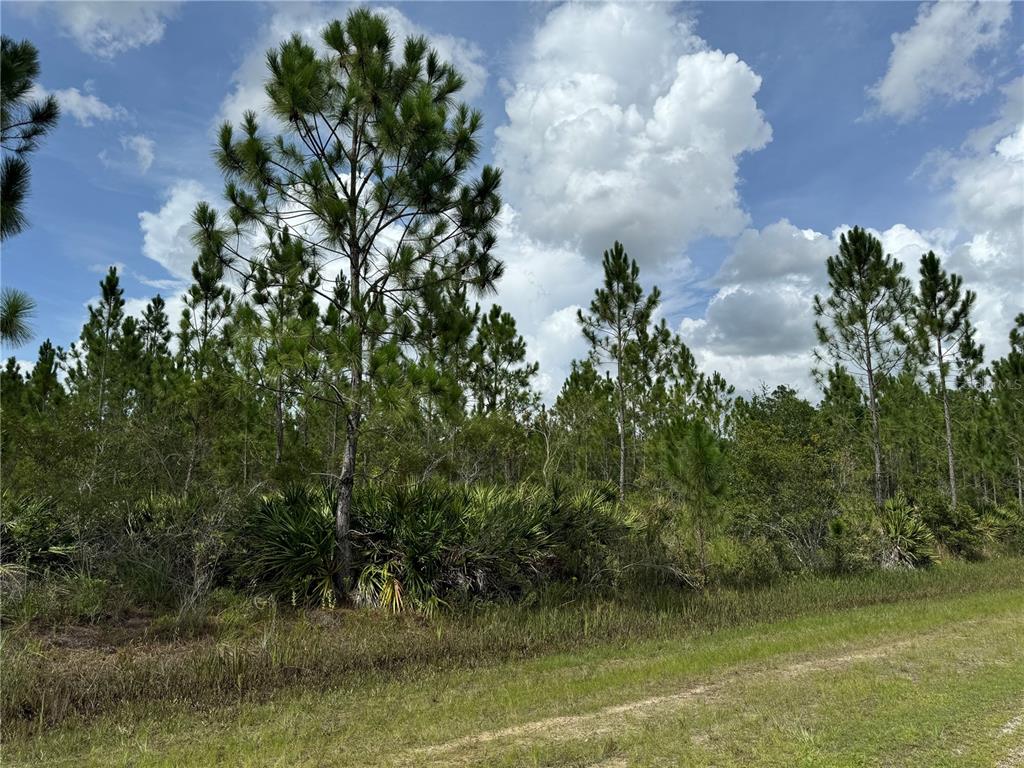 3621 Calendula Drive Frostproof, FL 33843 - Photo 2 of 4