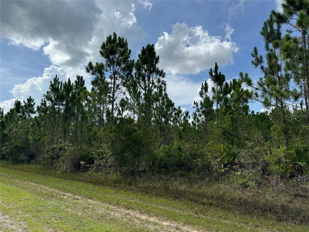 3621 Calendula Drive Frostproof, FL 33843 - Photo 3 of 4