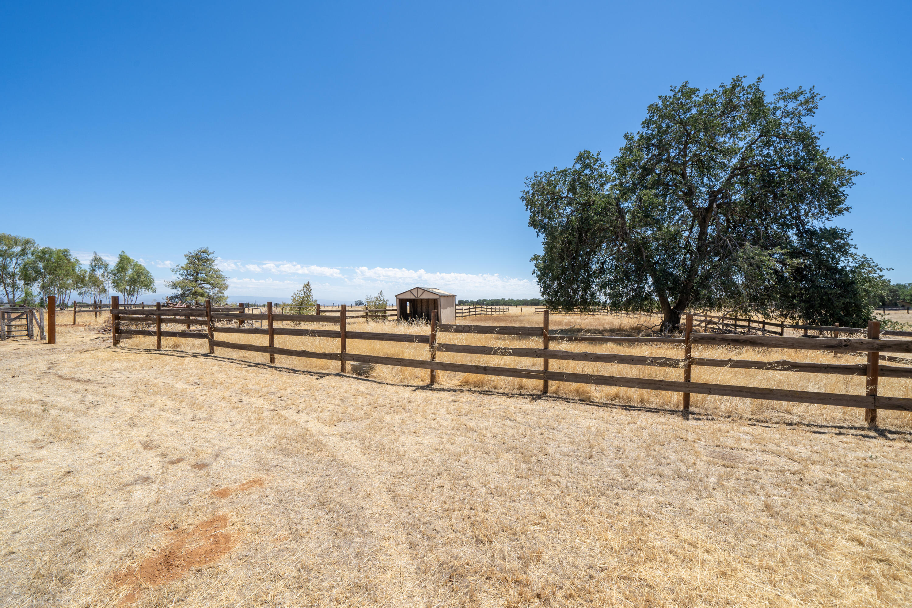 19035 Ridge Road Red Bluff, CA 96080 - Photo 44 of 74 a view of a yard with wooden fence
