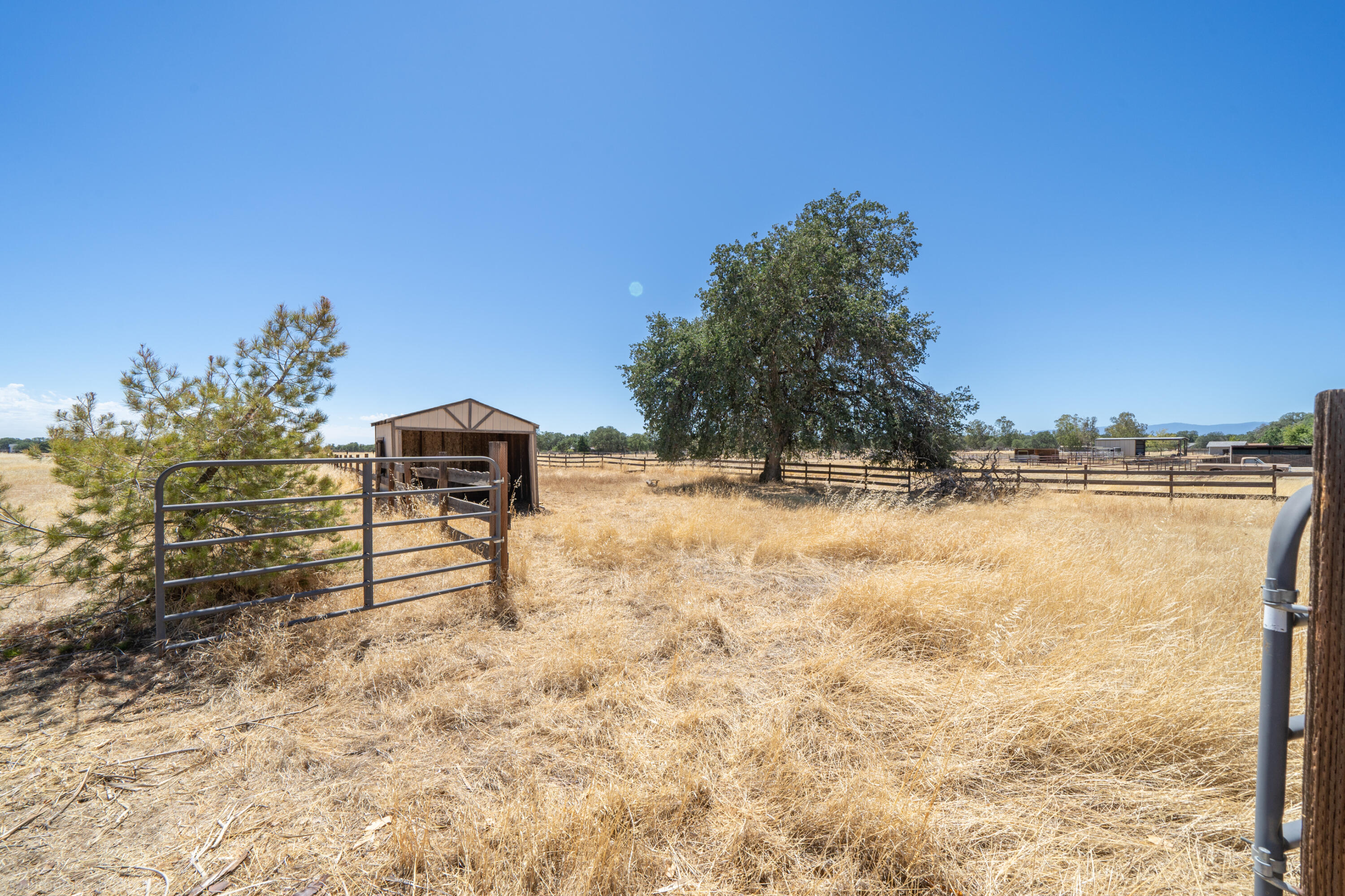 19035 Ridge Road Red Bluff, CA 96080 - Photo 46 of 74 19035 Ridge Rd-50