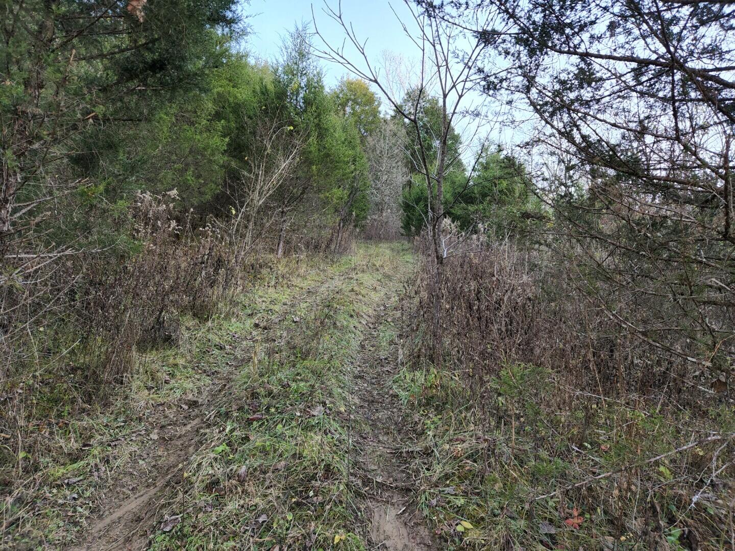 507 Vice Road Sharpsburg, KY 40374 - Photo 12 of 29 Resized_20221114_160537