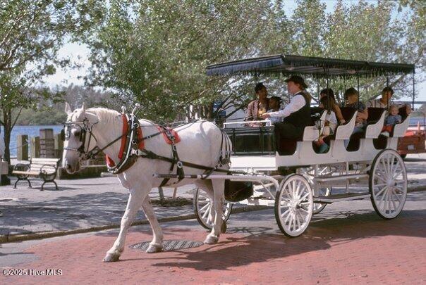 118 Dock Street, Unit 11 Wilmington, NC 28401 - Photo 41 of 41 HorseRide