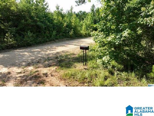 0 County Road 253, Unit 3 Clanton, AL 35046 - Photo 3 of 8