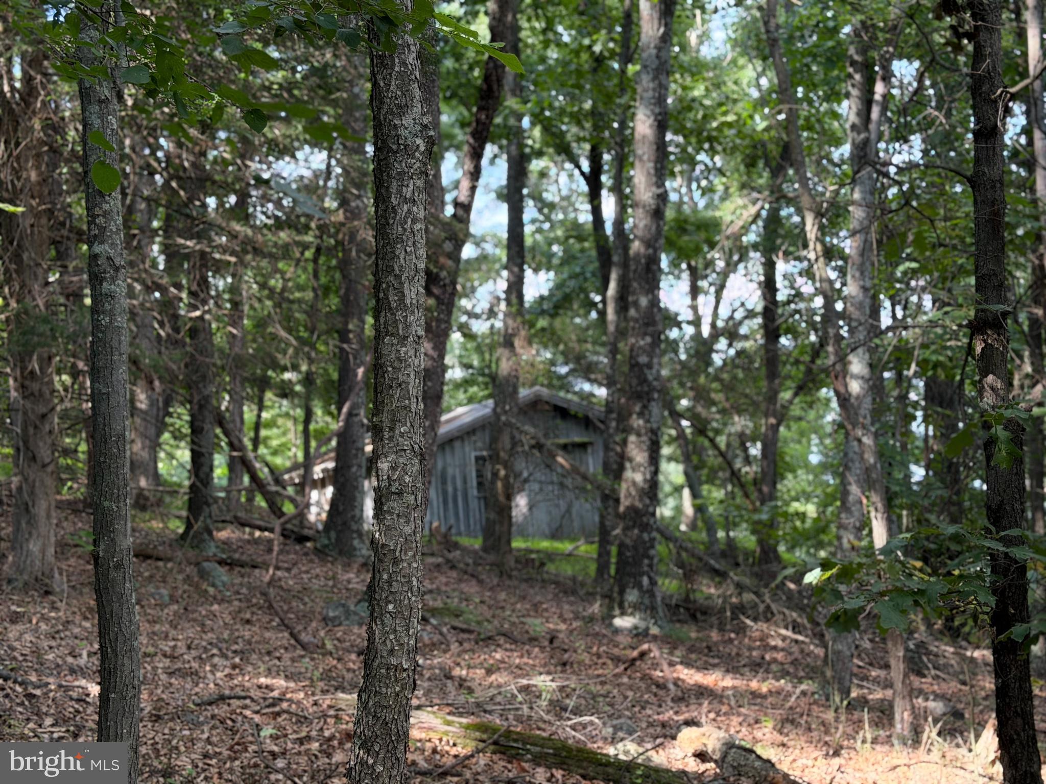 584 Berry Mountain Lane Mathias, WV 26812 - Photo 2 of 17