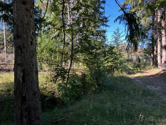 00 North 39th Road Lake City, MI 49651 - Photo 6 of 14