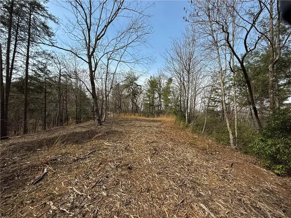 $185,000 | 110 Buttercup Way, Sunset, SC 29685