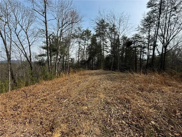 $185,000 | 110 Buttercup Way, Sunset, SC 29685