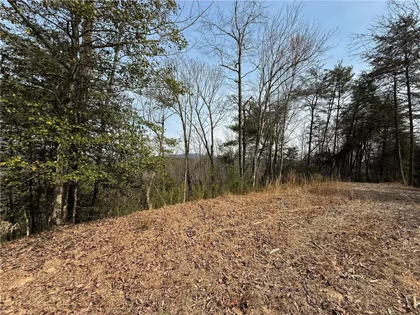 $185,000 | 110 Buttercup Way, Sunset, SC 29685