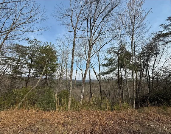 $185,000 | 110 Buttercup Way, Sunset, SC 29685