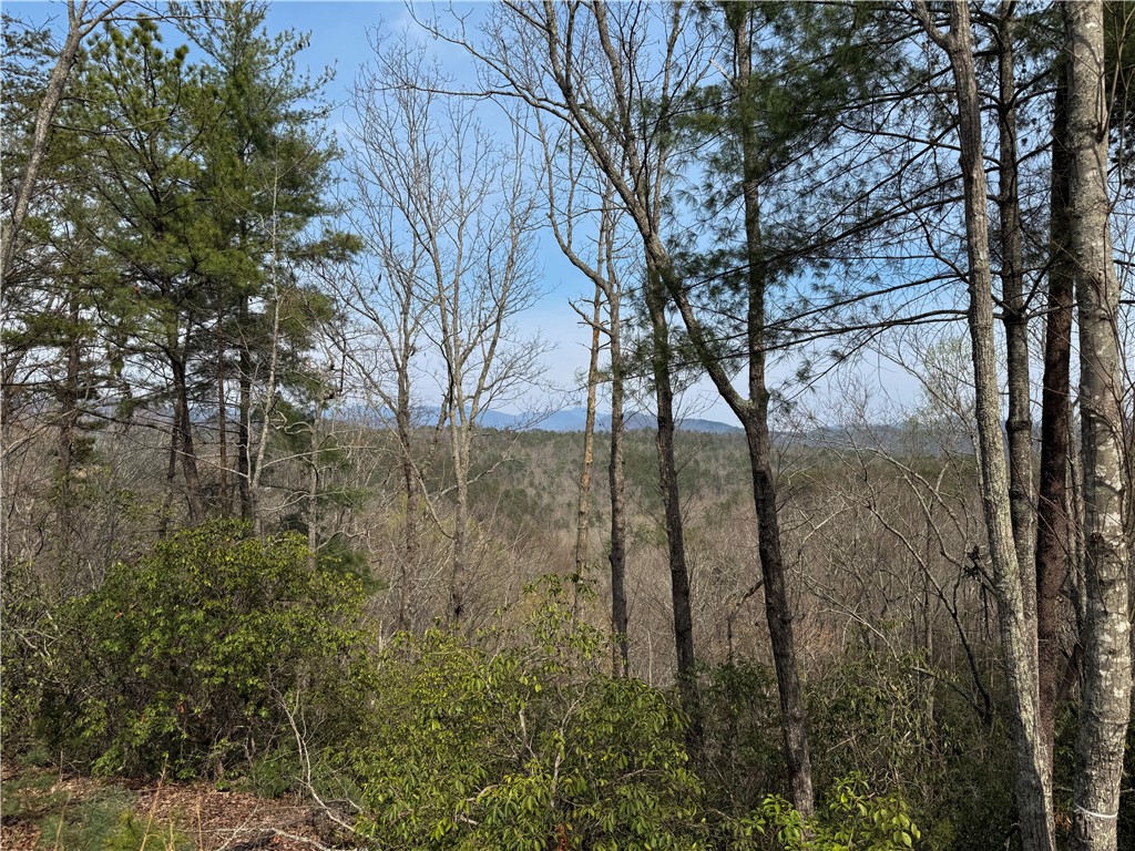110 Buttercup Way Sunset, SC 29685 - Photo 15 of 27