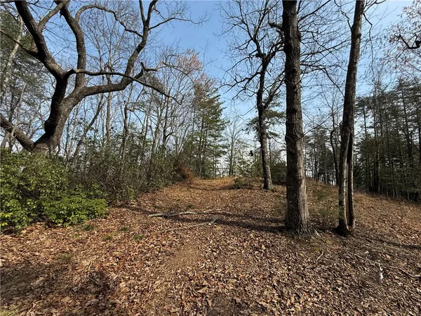 $185,000 | 110 Buttercup Way, Sunset, SC 29685