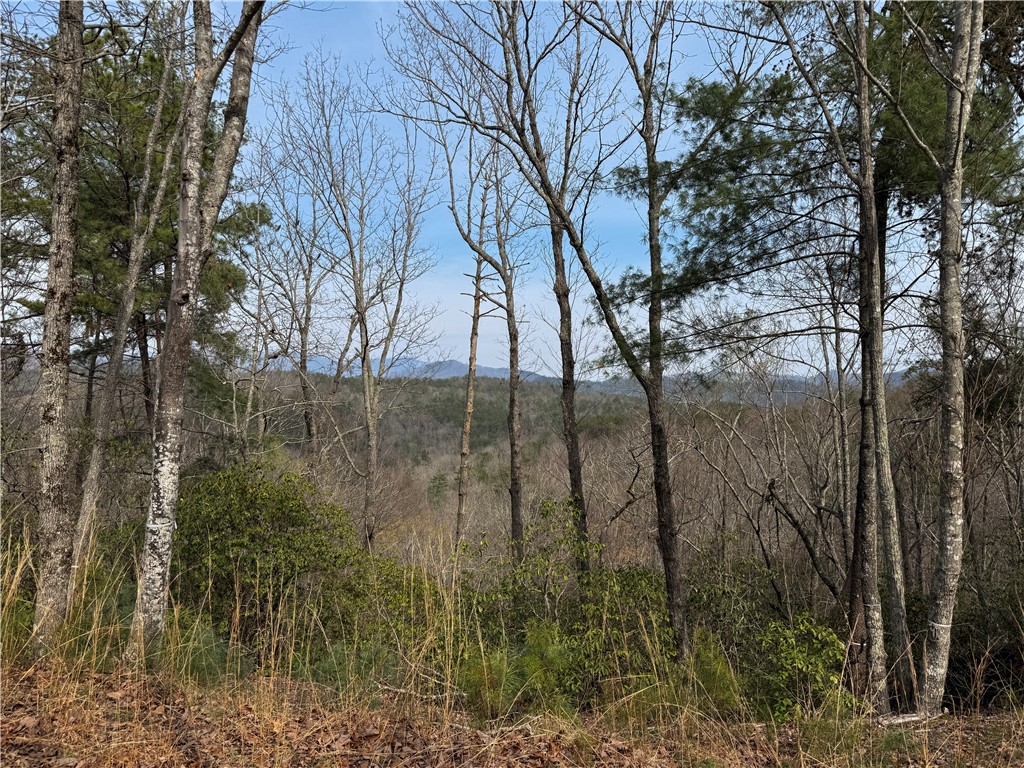 110 Buttercup Way Sunset, SC 29685 - Photo 2 of 27