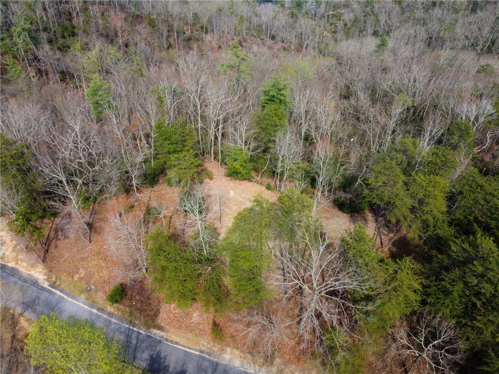 110 Buttercup Way Sunset, SC 29685 - Photo 26 of 27