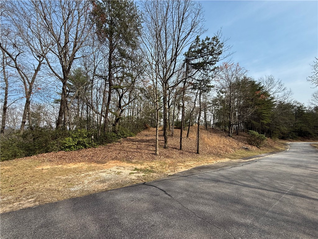 110 Buttercup Way Sunset, SC 29685 - Photo 8 of 27