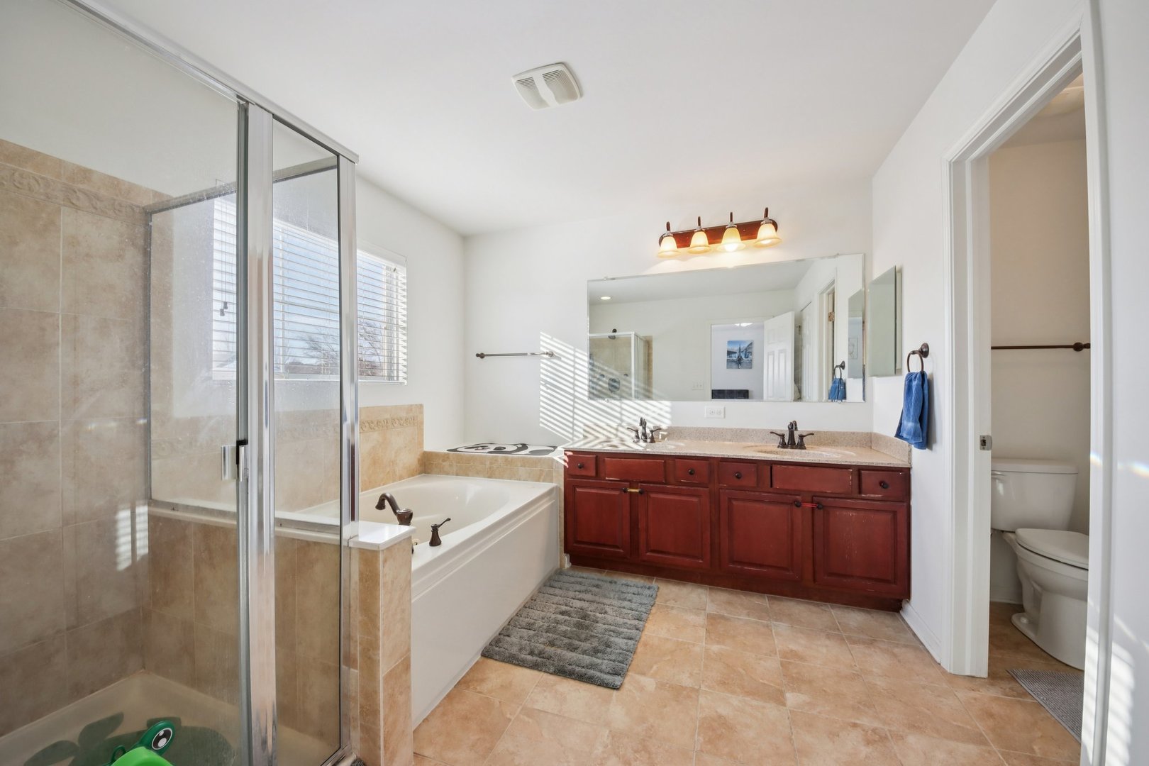 424 Acushnet Street Elgin, IL 60124 - Photo 13 of 21 a bathroom with a tub a sink and mirror