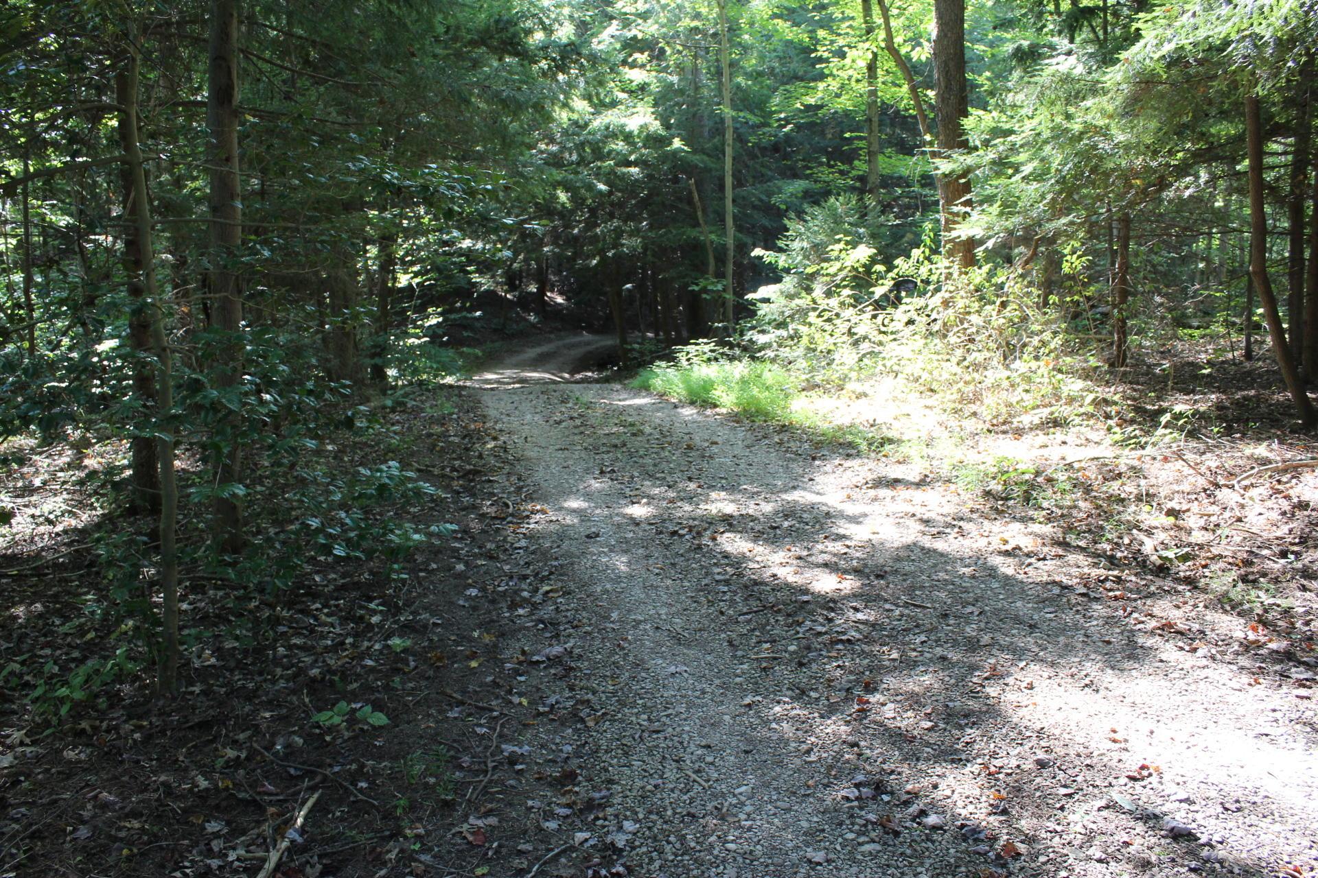 24182 Pumpkin Ridge Road New Plymouth, OH 45654 - Photo 23 of 71