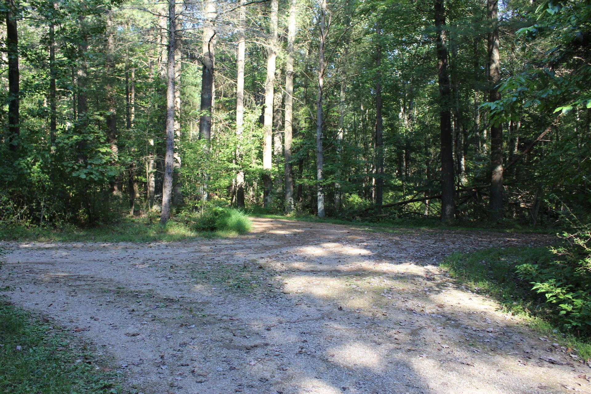 24182 Pumpkin Ridge Road New Plymouth, OH 45654 - Photo 33 of 71