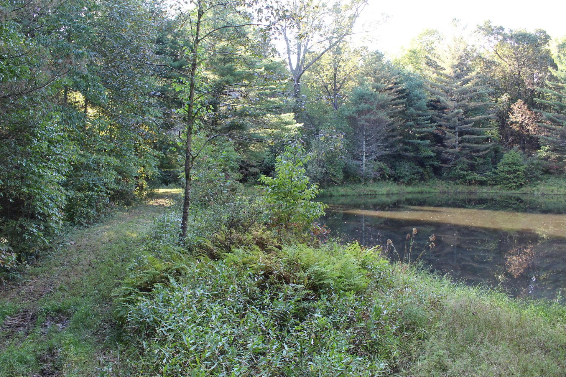 24182 Pumpkin Ridge Road New Plymouth, OH 45654 - Photo 40 of 71