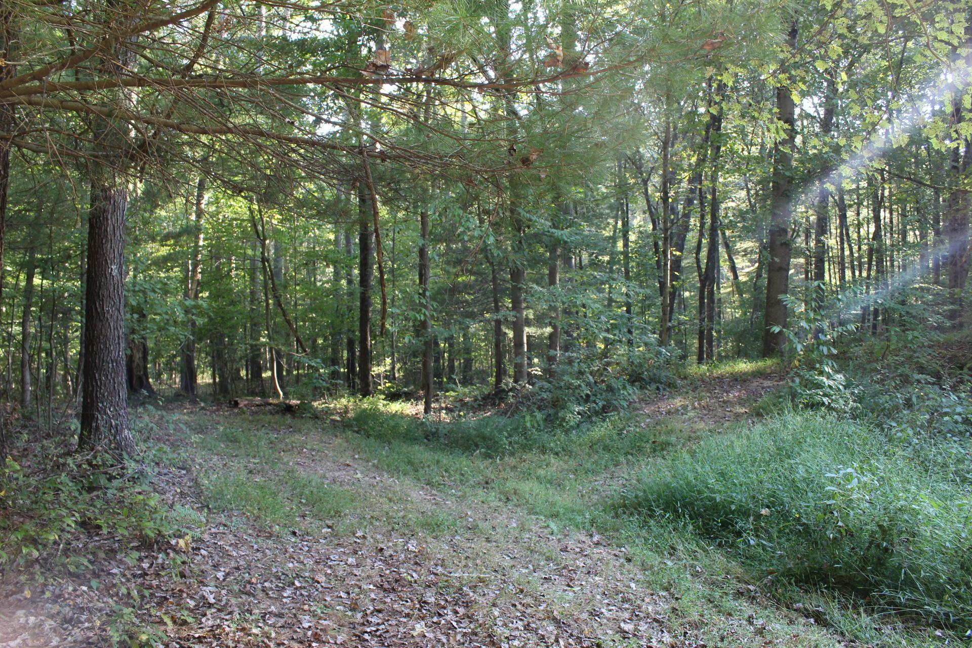 24182 Pumpkin Ridge Road New Plymouth, OH 45654 - Photo 46 of 71