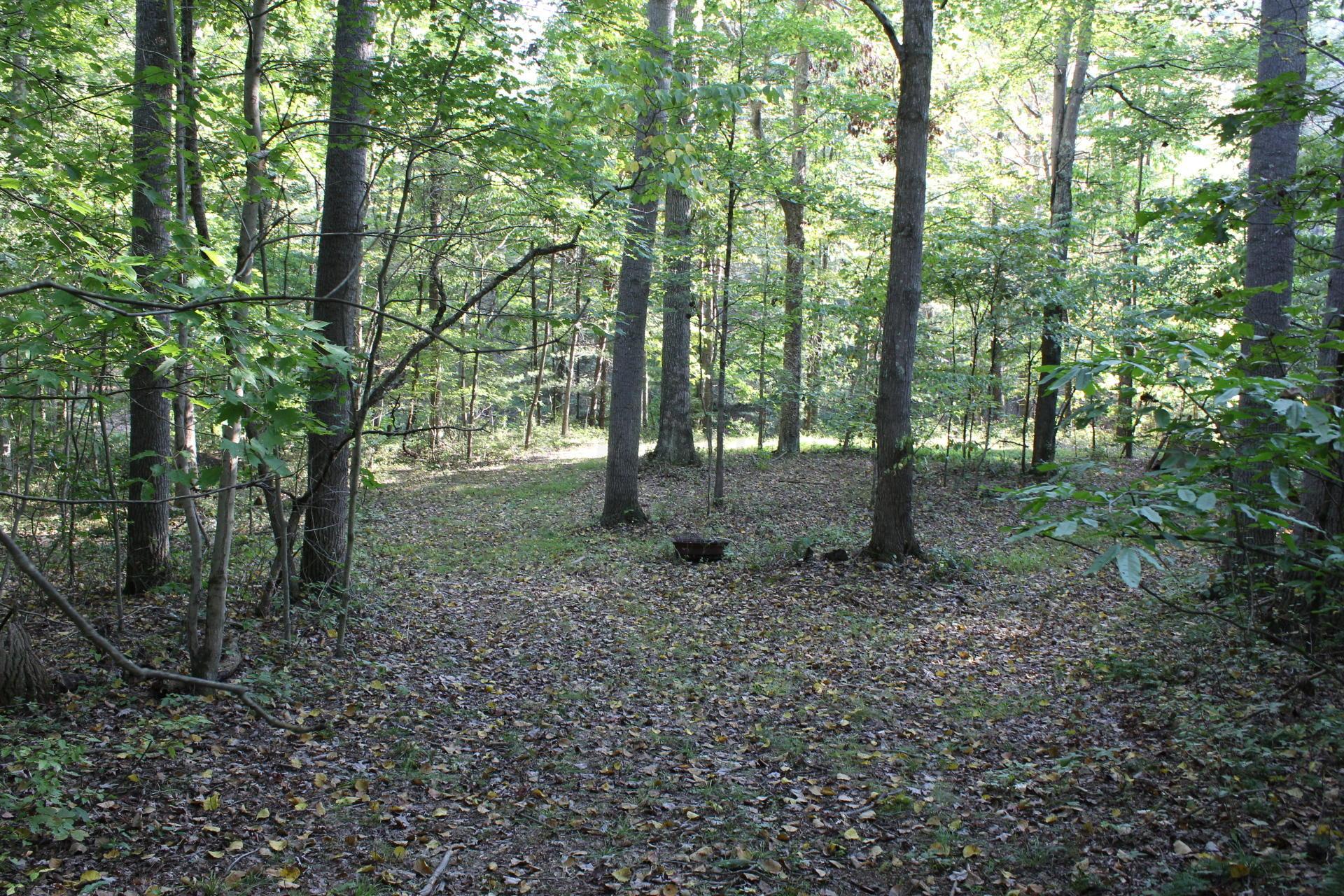 24182 Pumpkin Ridge Road New Plymouth, OH 45654 - Photo 47 of 71
