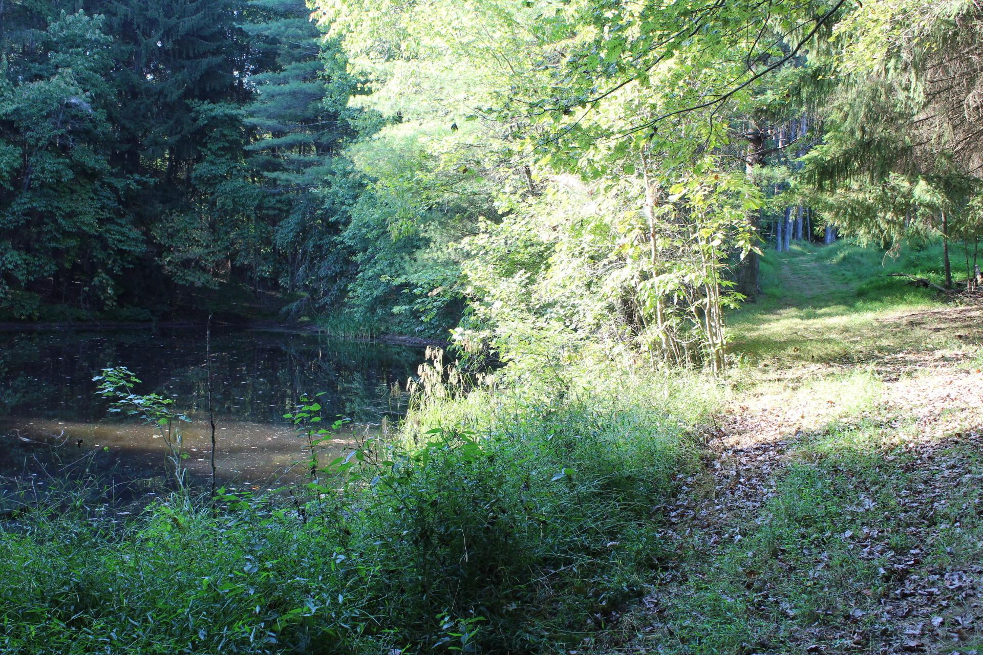 24182 Pumpkin Ridge Road New Plymouth, OH 45654 - Photo 63 of 71