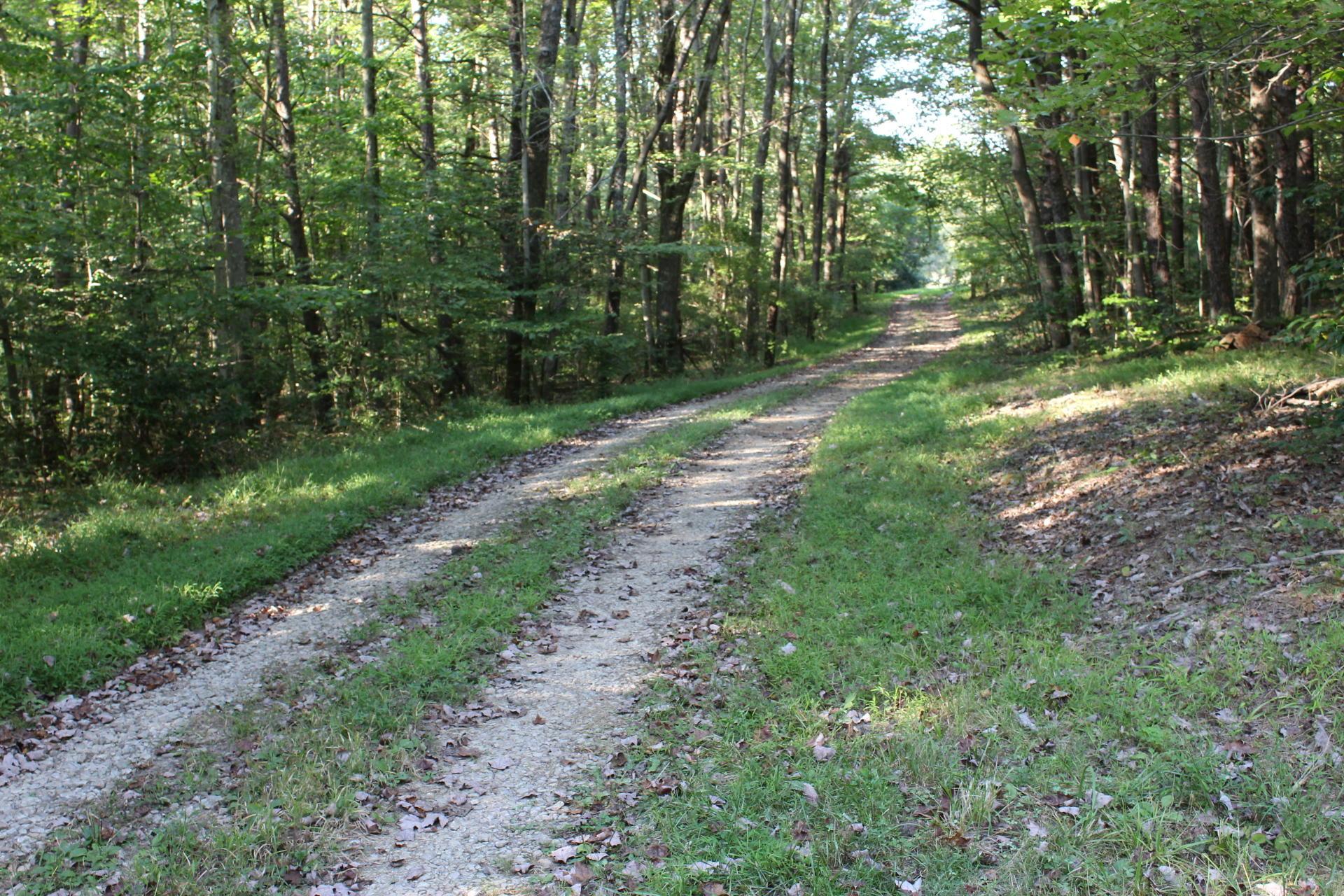 24182 Pumpkin Ridge Road New Plymouth, OH 45654 - Photo 65 of 71