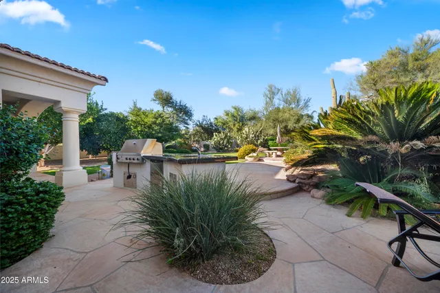 a view of a yard with plants and a water fountain