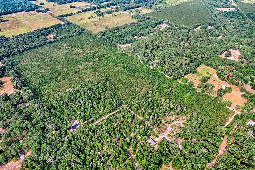 0 Southwest 120th Avenue Archer, FL 32618 - Photo 11 of 14 an aerial view of a houses with a yard