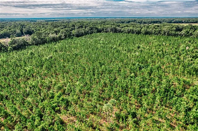 $999,000 | 0 Southwest 120th Avenue, Archer, FL 32618