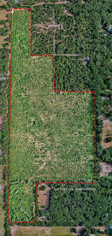 0 Southwest 120th Avenue Archer, FL 32618 - Photo 2 of 14 an aerial view of residential house with outdoor space and trees all around