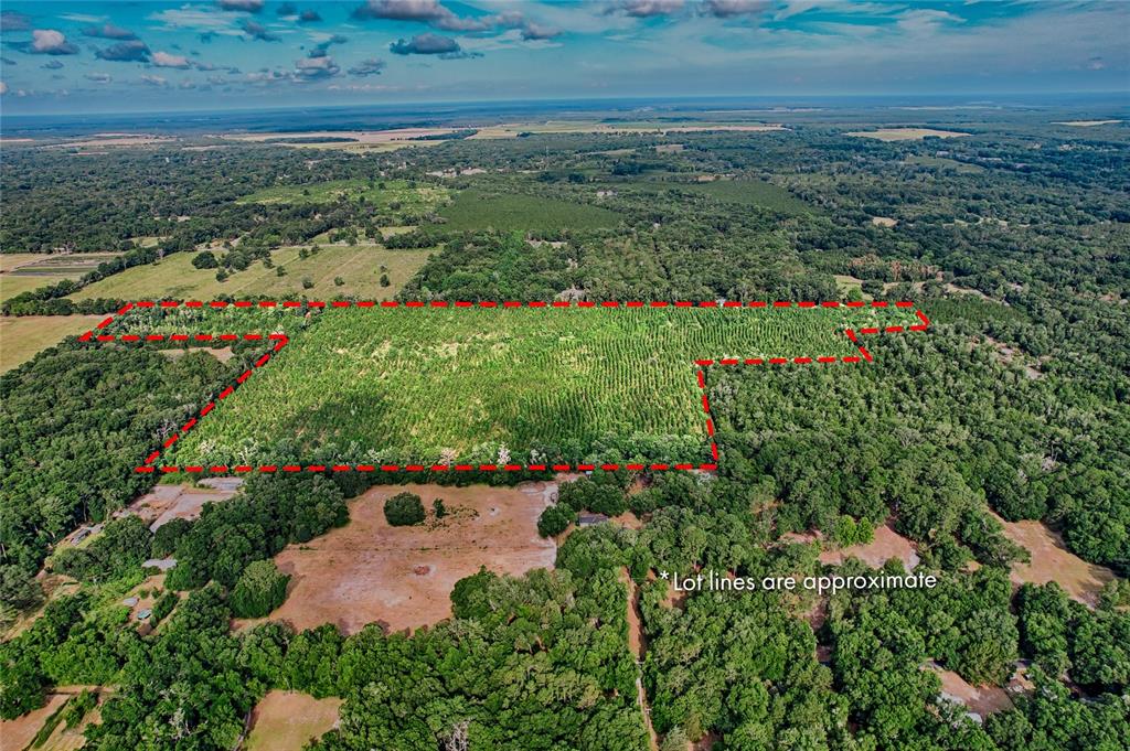 0 Southwest 120th Avenue Archer, FL 32618 - Photo 3 of 14 an aerial view of a house with a yard