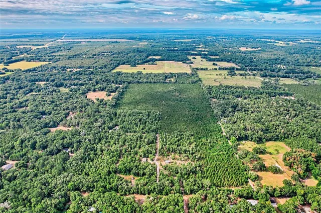 an aerial view of residential houses with outdoor space and trees