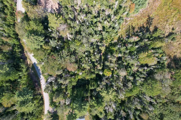 $74,900 | Lot 6 Kennel Brook Drive, Lamoine, ME 04605