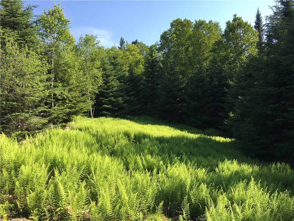 376 Tip Toe Mountain Road Vinalhaven, ME 04863 - Photo 9 of 22 Photo