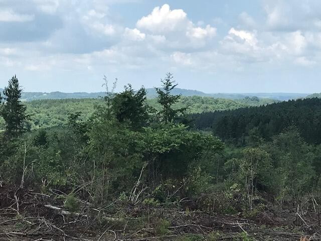 7 County Road 963 Calhoun, TN 37309 - Photo 6 of 10