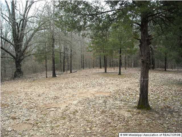 2840 Mays Road Coldwater, MS 38618 - Photo 17 of 30 Additional Photo