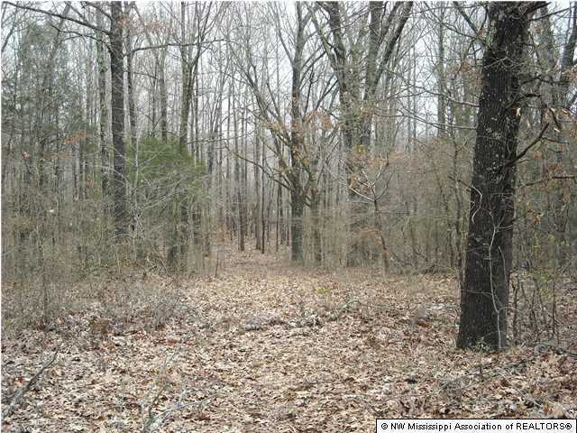 2840 Mays Road Coldwater, MS 38618 - Photo 18 of 30 Additional Photo