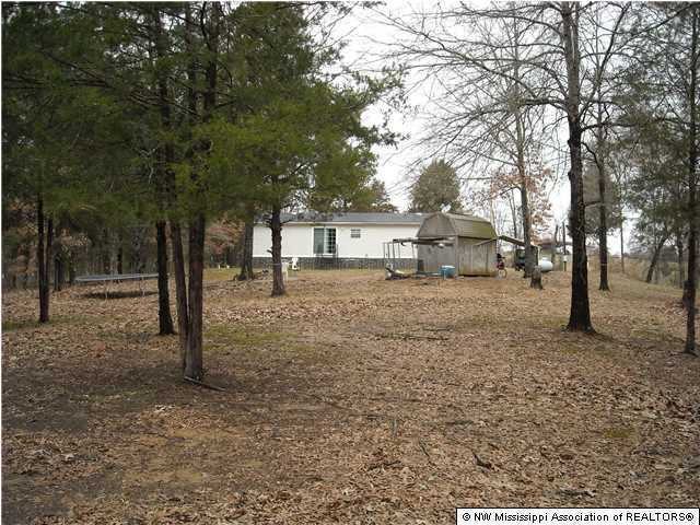 2840 Mays Road Coldwater, MS 38618 - Photo 19 of 30 Additional Photo