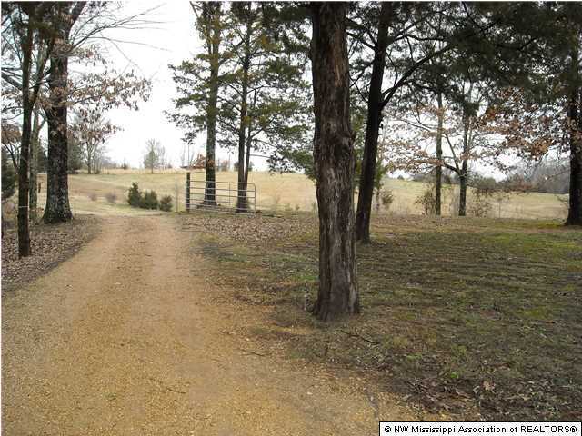 2840 Mays Road Coldwater, MS 38618 - Photo 20 of 30 Additional Photo