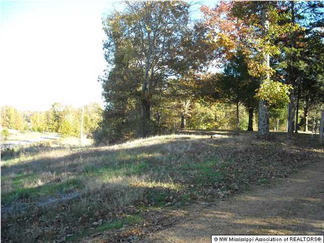 2840 Mays Road Coldwater, MS 38618 - Photo 23 of 30 Additional Photo