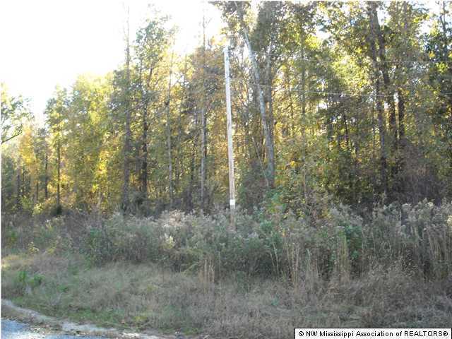 2840 Mays Road Coldwater, MS 38618 - Photo 26 of 30 Additional Photo