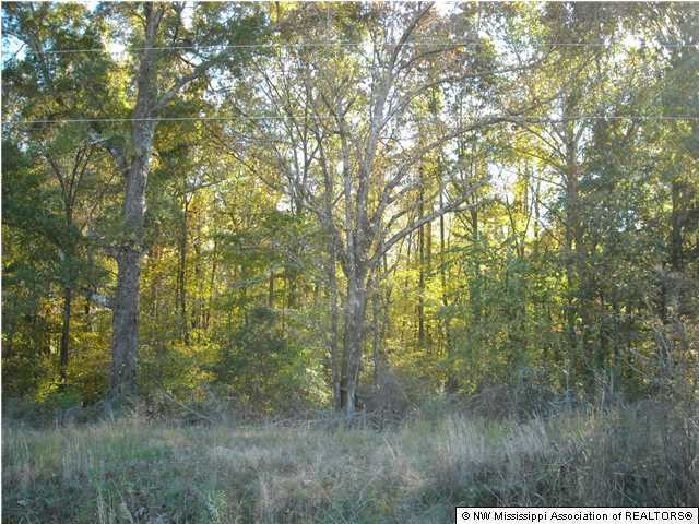 2840 Mays Road Coldwater, MS 38618 - Photo 27 of 30 Additional Photo